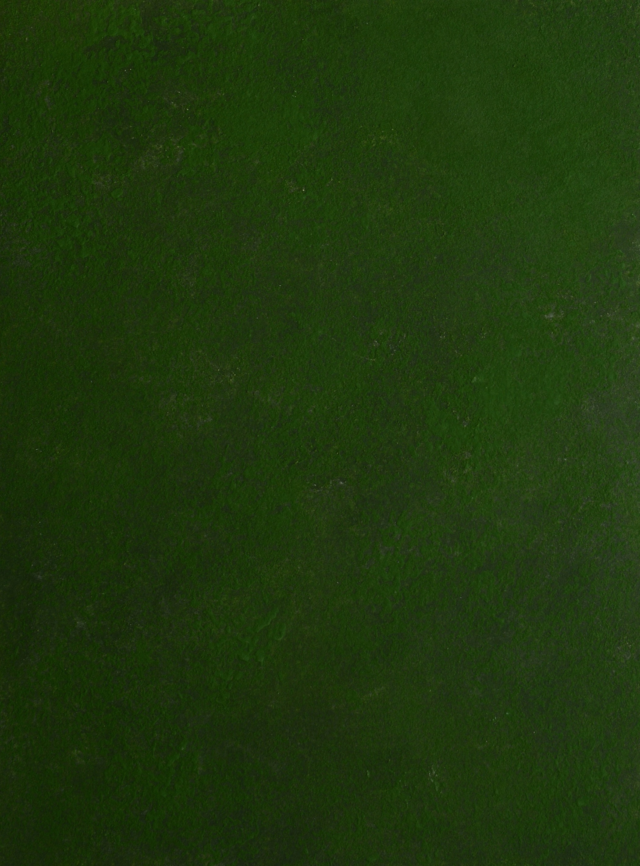 Декоративный состав "Смак эндарфінаў" по образцу № 58.